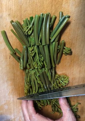 わらびの下茹で-レシピのメイン写真