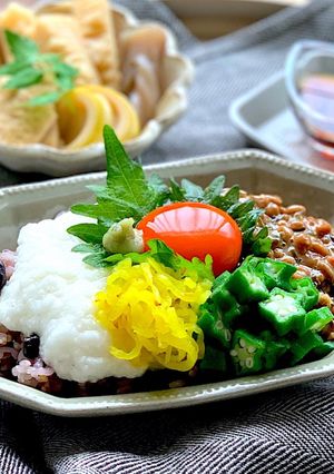 ねばとろごはん&かんたんタレ*ねばとろ丼-レシピのメイン写真