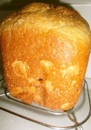 オーツ麦ふすまとライ麦粉de主食パン-レシピのメイン写真