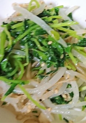豆苗ともやしの作り置きナムル-レシピのメイン写真
