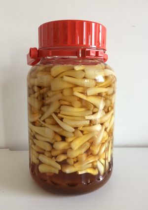 簡単らっきょうのピクルス-レシピのメイン写真