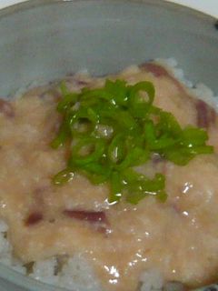 塩辛とろろ丼-レシピのメイン写真