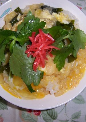 食費に優しい天かす丼-レシピのメイン写真