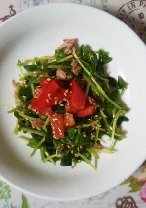 ダシダの豆苗とツナのサラダ-レシピのメイン写真