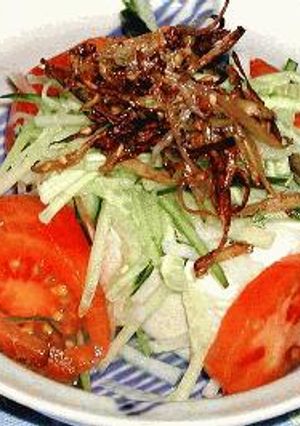 カリカリ豆腐サラダ-レシピのメイン写真
