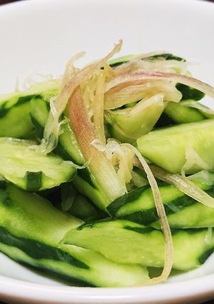 みょうがときゅうりでさっぱり浅漬け-レシピのメイン写真