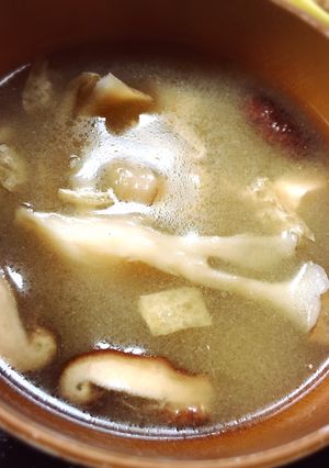 ダイエットにも♪舞茸たっぷり味噌汁-レシピのメイン写真