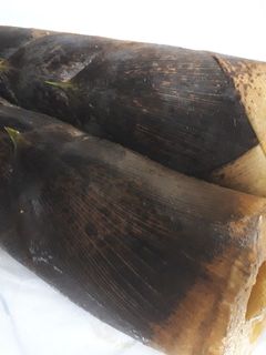 タケノコを茹でる-レシピのメイン写真