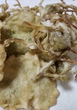 エビヅルの新芽とユキノシタの天ぷら-レシピのメイン写真