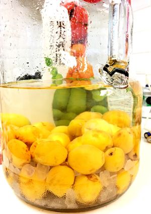 飲兵衛の 、快感♪山枇杷酒-レシピのメイン写真