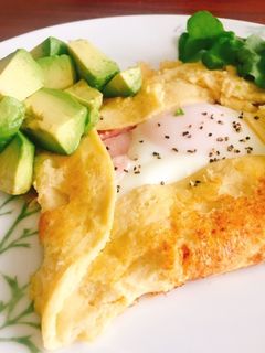 おからパウダー*低糖質ガレット-レシピのメイン写真