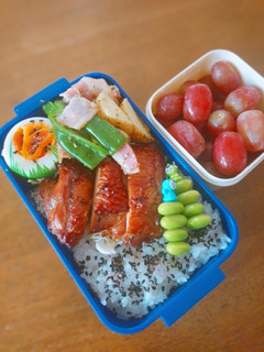 鶏の照り焼き弁当-レシピのメイン写真