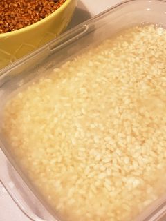 手作り塩麹-レシピのメイン写真