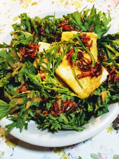 ワサビ菜と豆腐のサラダ-レシピのメイン写真