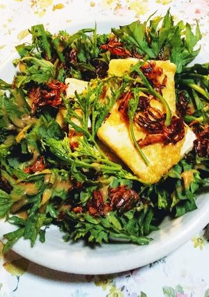 ワサビ菜と豆腐のサラダ-レシピのメイン写真