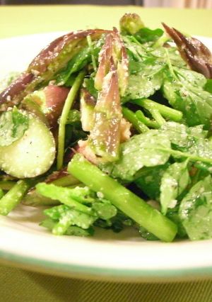 生で食べる♪紫アスパラとクレソンのサラダ-レシピのメイン写真