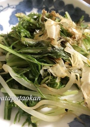 水菜とモヤシのおかか和え-レシピのメイン写真