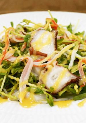 タコ・カニカマ・豆苗のからし酢みそサラダ-レシピのメイン写真