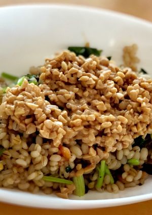 もち麦パクチーダイエット炒飯の納豆乗せ-レシピのメイン写真