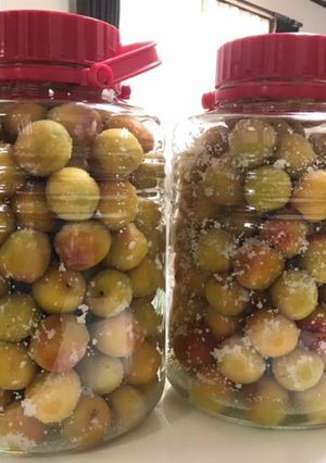 梅干し 10kg-レシピのメイン写真