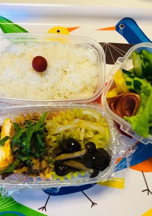 ママへのお弁当^_^190606-レシピのメイン写真