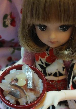 リカちゃんサイズ♡鯵の酢〆丼ꕤおせん再現-レシピのメイン写真