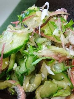 夏野菜のさっぱり箸休め-レシピのメイン写真