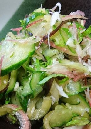 夏野菜のさっぱり箸休め-レシピのメイン写真