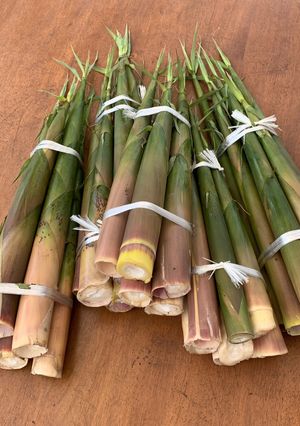 大名竹の長期保存方法♪-レシピのメイン写真