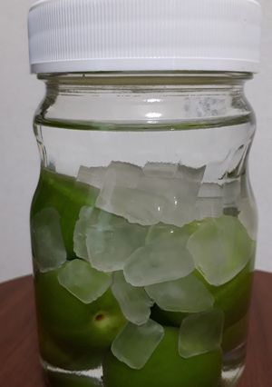 少量の梅酒 果実酒の季節mini版覚書-レシピのメイン写真