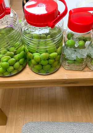梅ジュース-レシピのメイン写真