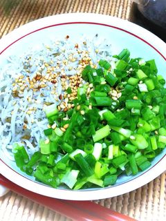 釜揚げしらす丼♪-レシピのメイン写真
