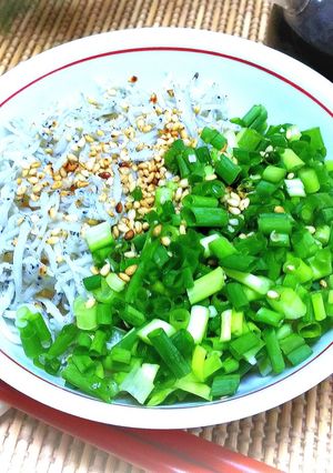 釜揚げしらす丼♪-レシピのメイン写真