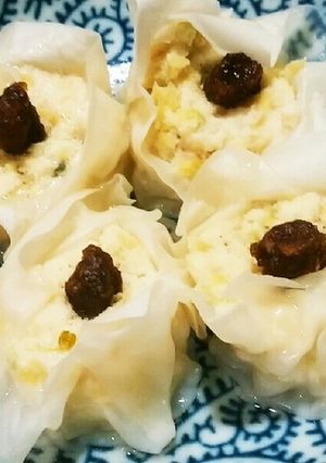 犬ご飯 おからシュウマイ-レシピのメイン写真