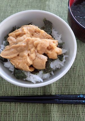 生うに丼-レシピのメイン写真