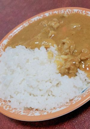 とろとろお肉の豚スジカレー-レシピのメイン写真