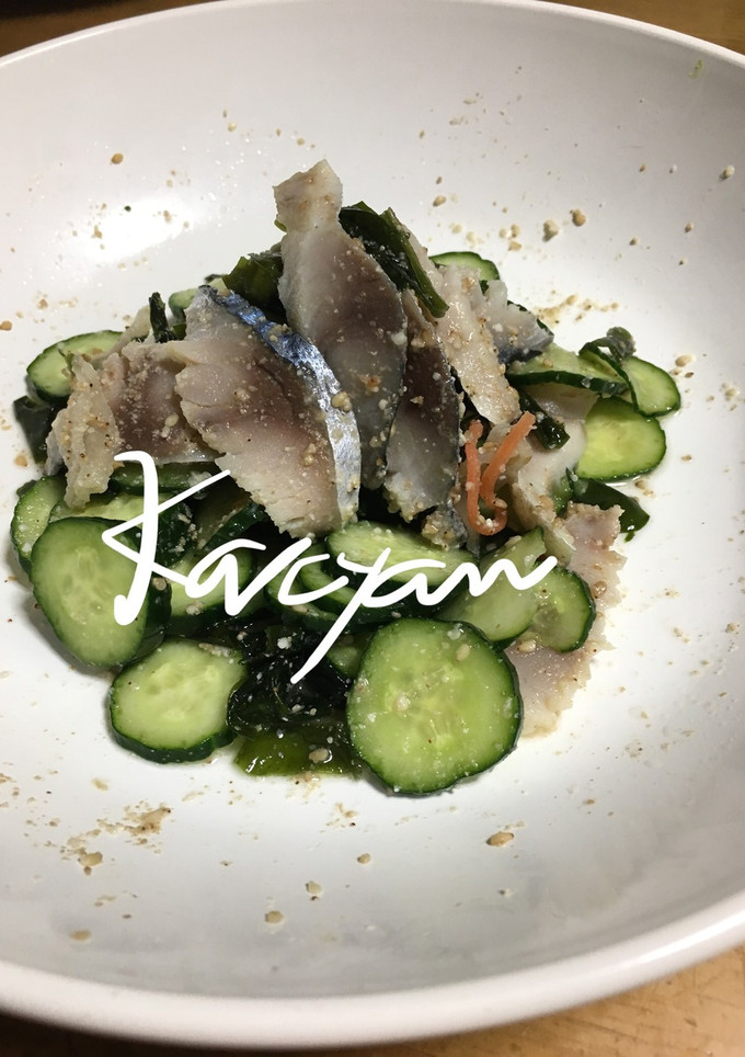 しめ鯖とキュウリのゴマ和え-レシピのメイン写真