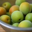 炊飯器で簡単梅シロップ、梅ジュース