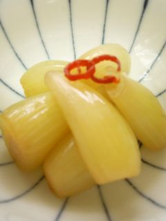 らっきょう甘酢漬け-レシピのメイン写真