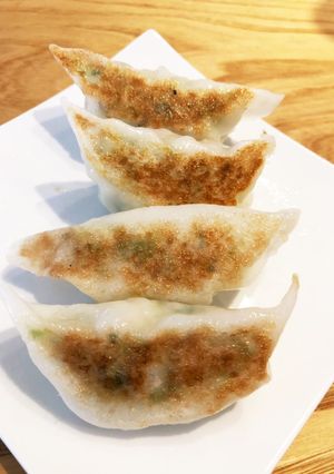 犬ごはん 鶏胸ミンチと野菜の餃子-レシピのメイン写真