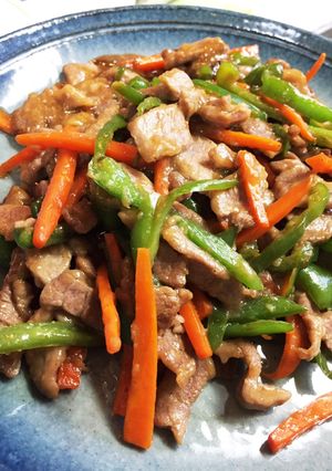 人参とピーマンと豚の炒め物/青椒肉絲風-レシピのメイン写真