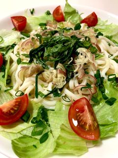 さっぱりサラダうどん-レシピのメイン写真