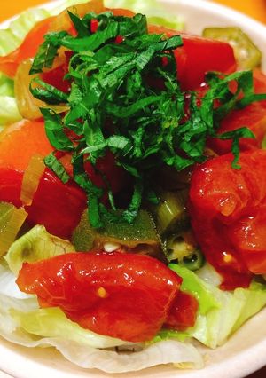 トマトとオクラの冷やしぶっかけ飯-レシピのメイン写真