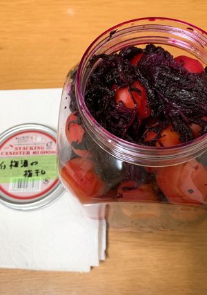 梅酒の梅で梅干し-レシピのメイン写真