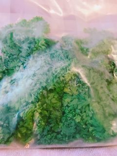 たくさんのパセリは冷凍保存で!-レシピのメイン写真
