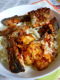 銀鮭アラビアータ載せ冷やしうどん-レシピのメイン写真