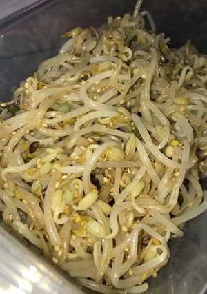 食べだしたら止まらない！もやしのナムル-レシピのメイン写真