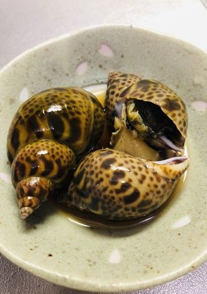 超簡単*.♡お家居酒屋！バイ貝の煮物-レシピのメイン写真