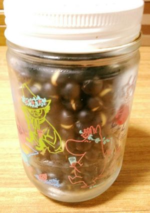 黒豆茶を作ってみた。-レシピのメイン写真