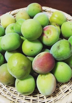 梅のヘタの取り方-レシピのメイン写真